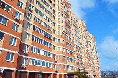 1-комнатная квартира Фрязино ул. Барские Пруды - фото 2